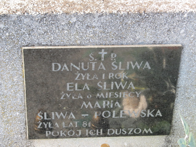 Danuta Śliwa Kielce - Grobonet - Wyszukiwarka osób pochowanych