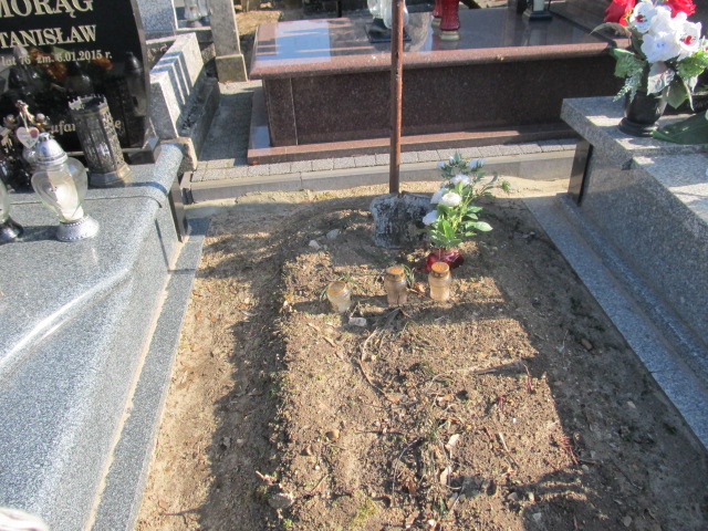 Maria Nogaj Kielce - Grobonet - Wyszukiwarka osób pochowanych