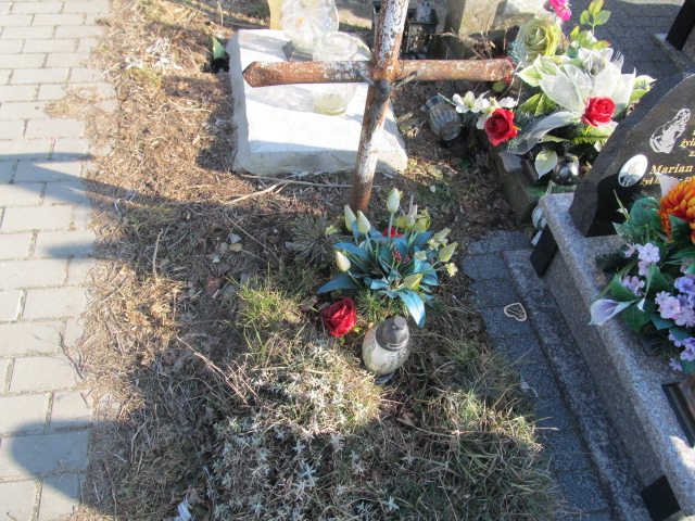  NN Kielce - Grobonet - Wyszukiwarka osób pochowanych