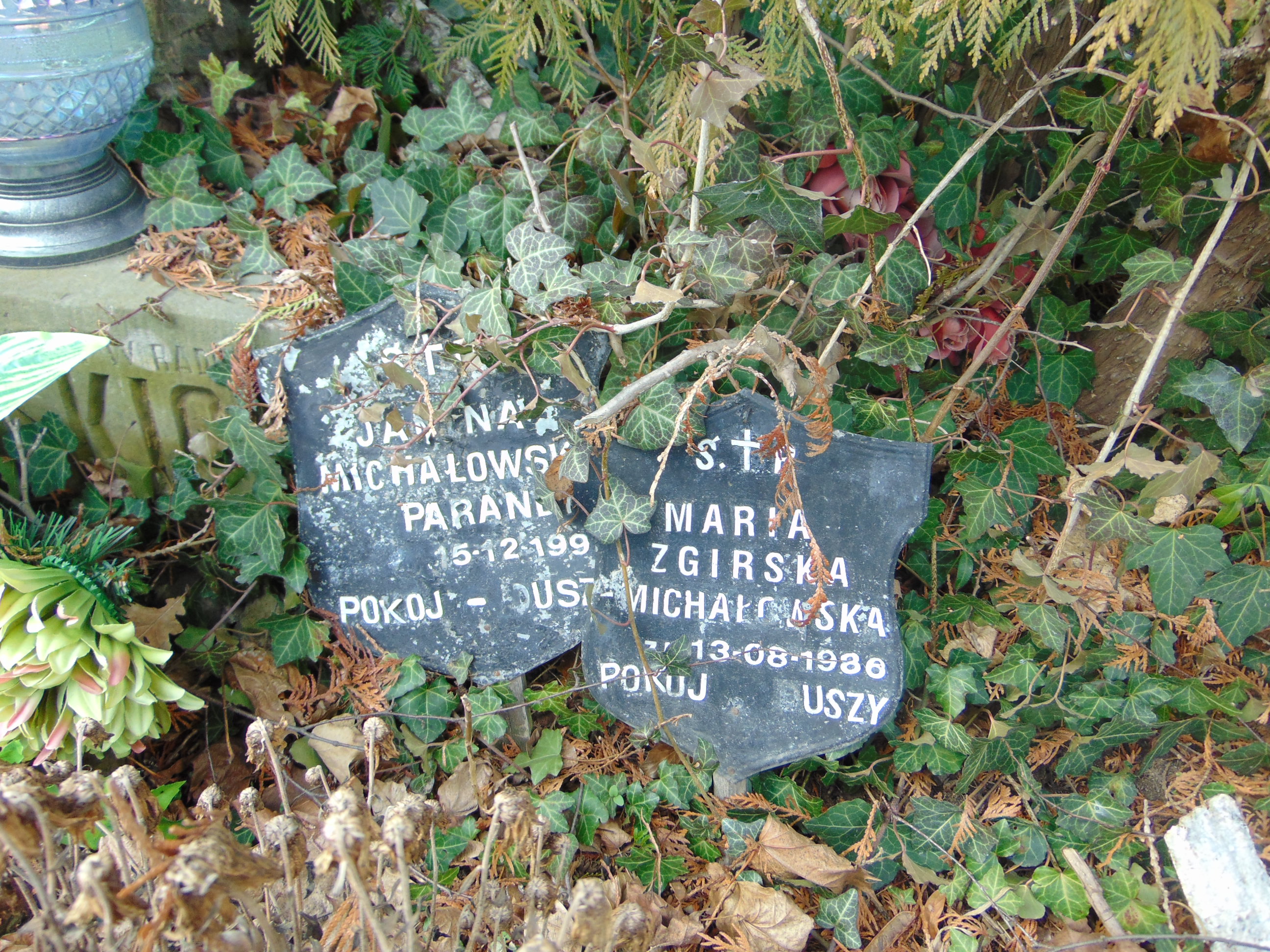 Janina Michałowska Kielce - Grobonet - Wyszukiwarka osób pochowanych