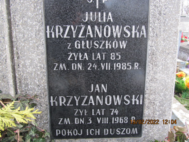 Julia Krzyżanowska Kielce - Grobonet - Wyszukiwarka osób pochowanych