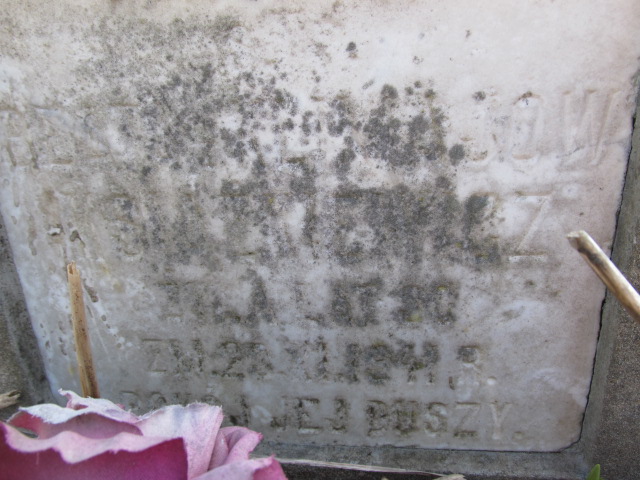 Beata Książkiewicz Kielce - Grobonet - Wyszukiwarka osób pochowanych