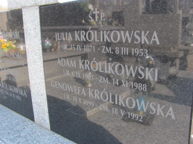 Dominika Królikowska 1895 Kielce - Grobonet - Wyszukiwarka osób pochowanych