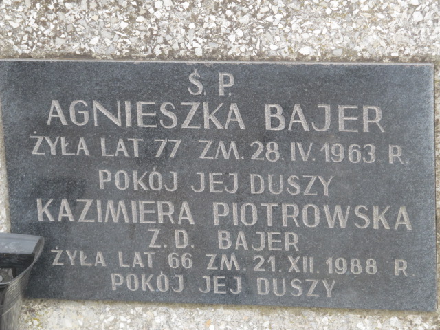 Agnieszka Bajer Kielce - Grobonet - Wyszukiwarka osób pochowanych