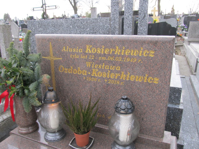 Andrzej Kosierkiewicz  Kielce - Grobonet - Wyszukiwarka osób pochowanych