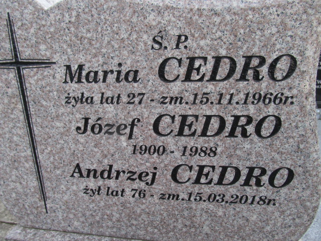 Andrzej Cedro Kielce - Grobonet - Wyszukiwarka osób pochowanych