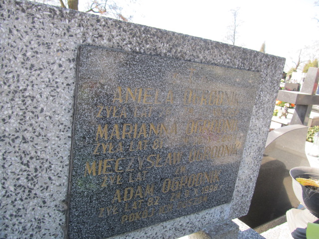 Mieczysław Ogrodnik Kielce - Grobonet - Wyszukiwarka osób pochowanych