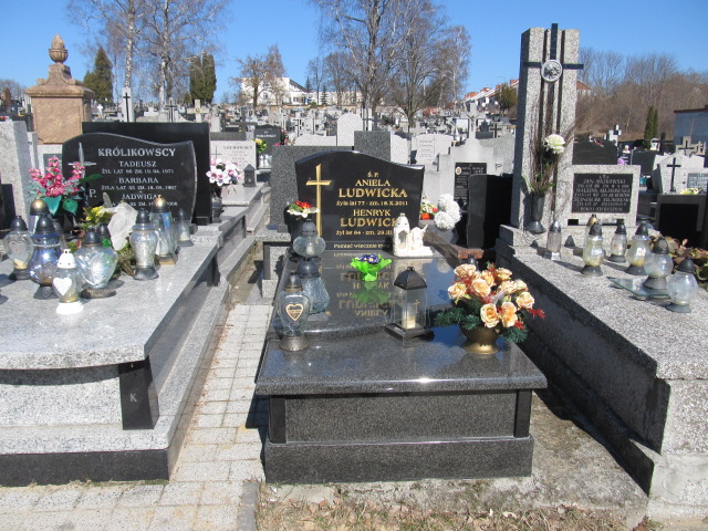Grób Henryk Ludwicki