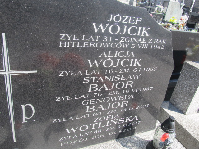 Alicja Wójcik Kielce - Grobonet - Wyszukiwarka osób pochowanych