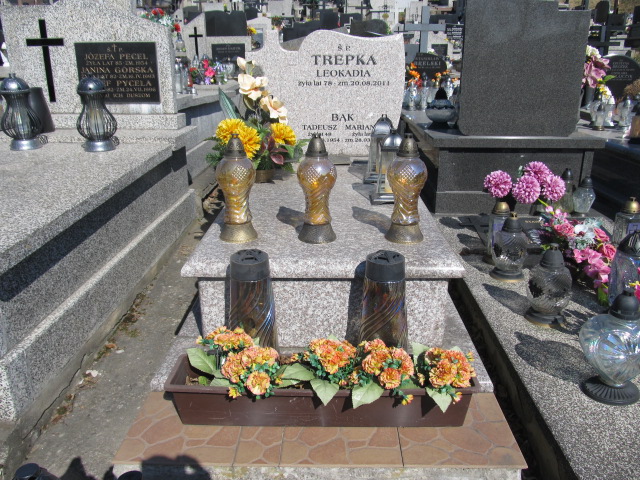 Grób Józef Trepka