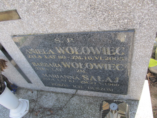 Marianna Sałaj Kielce - Grobonet - Wyszukiwarka osób pochowanych