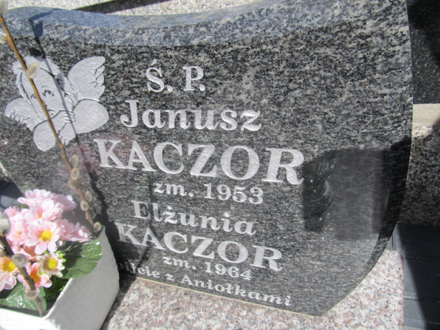 Janusz Kaczor Kielce - Grobonet - Wyszukiwarka osób pochowanych