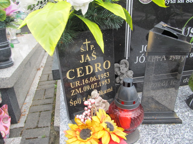 Józef Fluśnik Kielce - Grobonet - Wyszukiwarka osób pochowanych