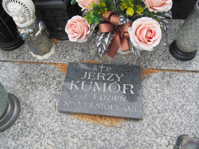 Stefan Kumór Kielce - Grobonet - Wyszukiwarka osób pochowanych