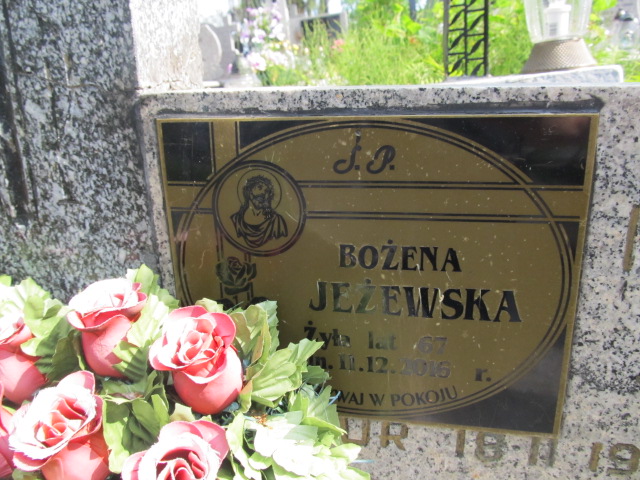 Kazimierz Jeżewski Kielce - Grobonet - Wyszukiwarka osób pochowanych