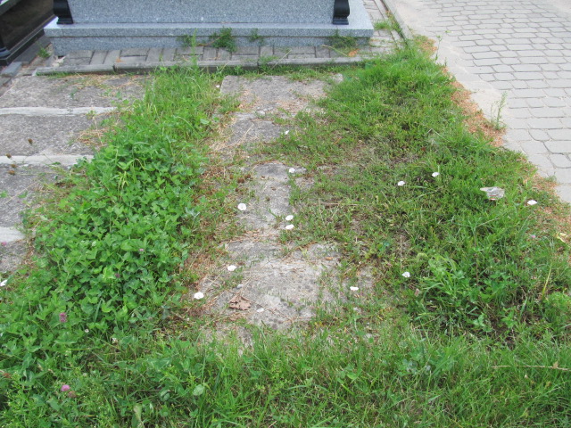 Salwa Rezerwacja Kielce - Grobonet - Wyszukiwarka osób pochowanych