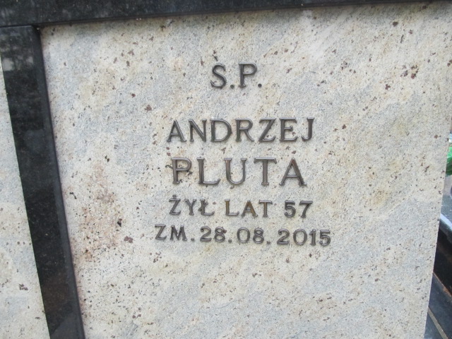 Andrzej Pluta Kielce - Grobonet - Wyszukiwarka osób pochowanych