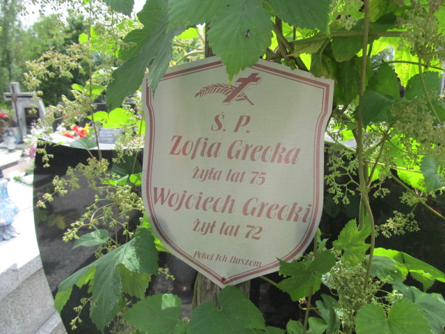 Zofia Grecka Kielce - Grobonet - Wyszukiwarka osób pochowanych