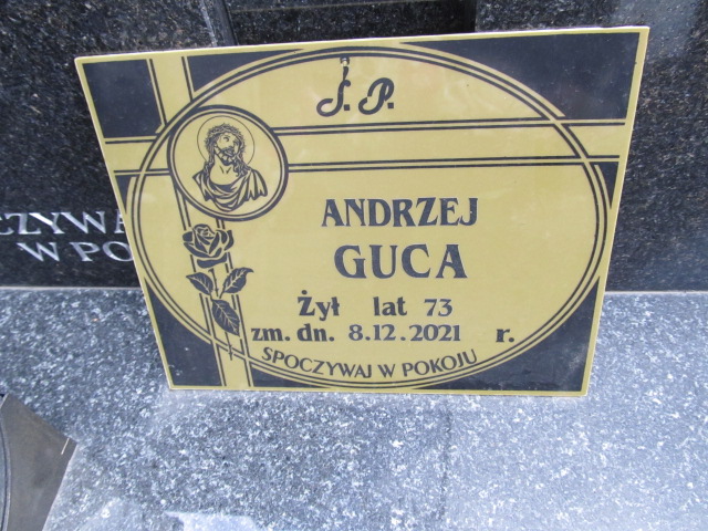 Zdzisława Guca 1951 Kielce - Grobonet - Wyszukiwarka osób pochowanych