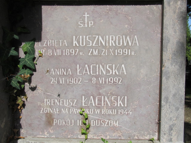 Apolonia Łacińska 1873 Kielce - Grobonet - Wyszukiwarka osób pochowanych