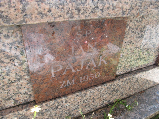 Iwona Maj  Kielce - Grobonet - Wyszukiwarka osób pochowanych