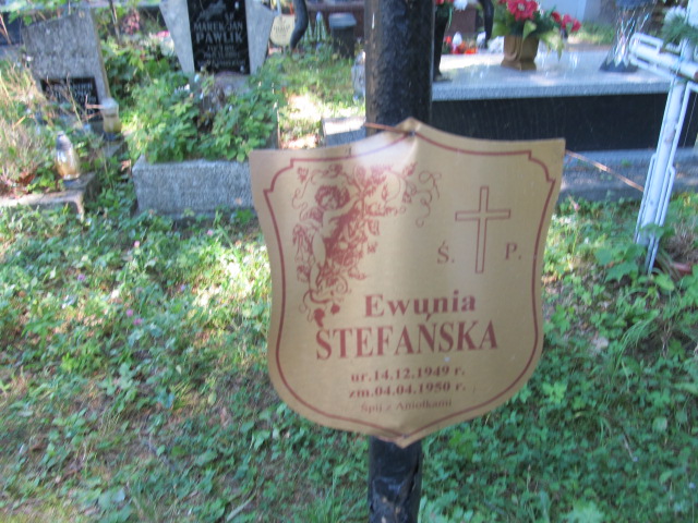 Ewa Stefańska 1949 Kielce - Grobonet - Wyszukiwarka osób pochowanych