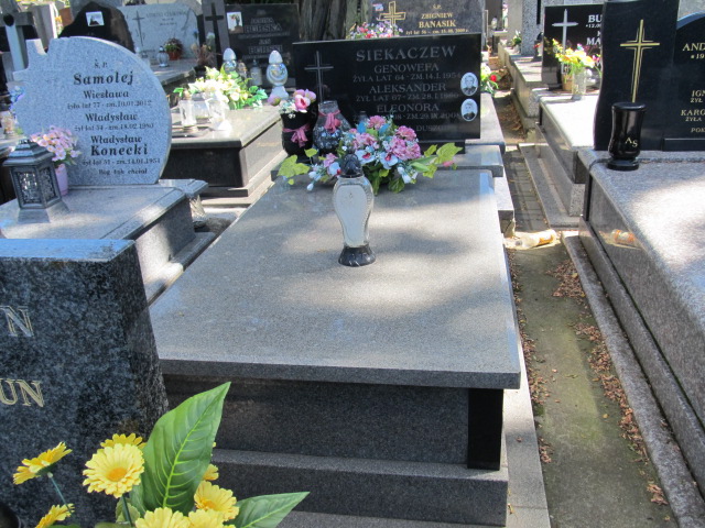 Grób Aleksander Siekaczew-Bogaczew