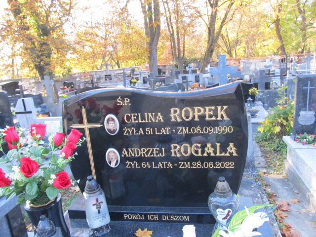 Andrzej Rogala Kielce - Grobonet - Wyszukiwarka osób pochowanych