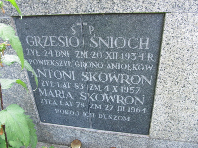 Stanisław Śnioch 1909 Kielce - Grobonet - Wyszukiwarka osób pochowanych