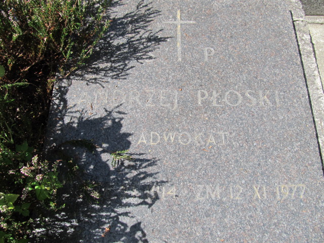 Arkadiusz Płoski Kielce - Grobonet - Wyszukiwarka osób pochowanych