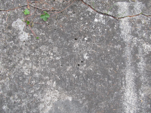 Alfreda Słonina 1924 Kielce - Grobonet - Wyszukiwarka osób pochowanych