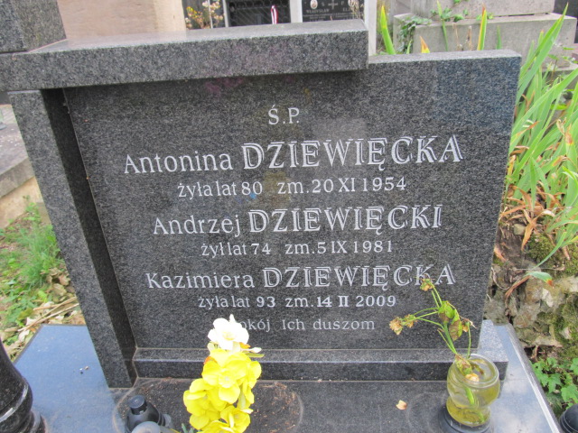 Danuta Dziewięcka Kielce - Grobonet - Wyszukiwarka osób pochowanych